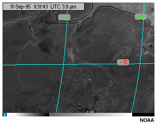 An animation of daytime GOES-8 3.9 micron channel imagery showing hot-spots resulting from fires over the Amazon Basin