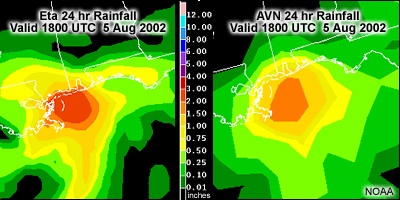 AVN and Eta 24-hour rainfall totals for Hurricane Bertha