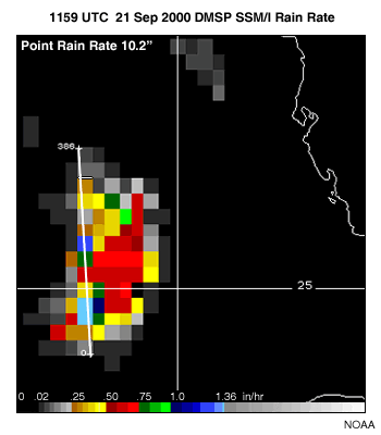 SSM/I rainrate for Hurricane Georges