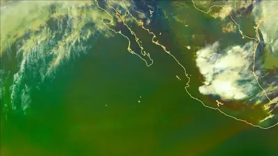 Thumbnail of the current imagery for the Gulf of California