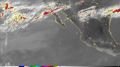 Thumbnail of the current imagery for the Gulf of California