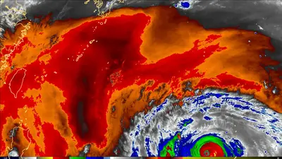 Thumbnail of the current imagery for the North Philippine Sea